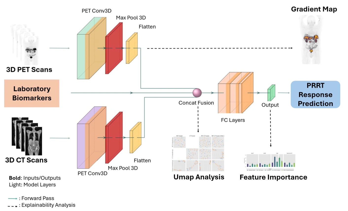 Multimodal PET CT and biomarker model architecture
